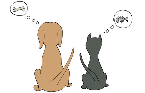 一只猫和一只狗坐在旁边彼此和思考他们最喜欢的食物
