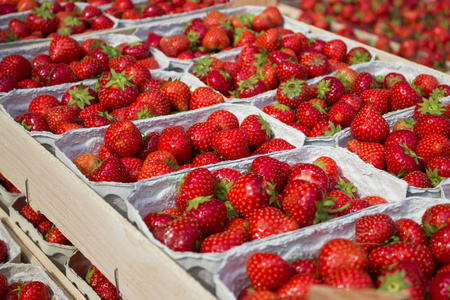 市场上的草莓摊,装在盒子里的草莓水果照片