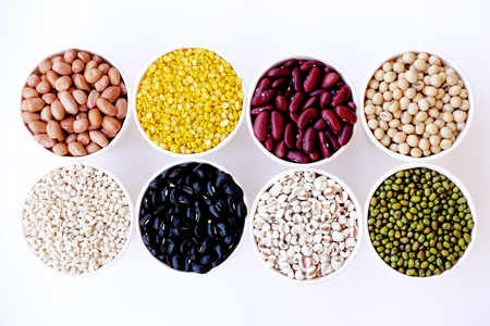 不同的豆类种子图片