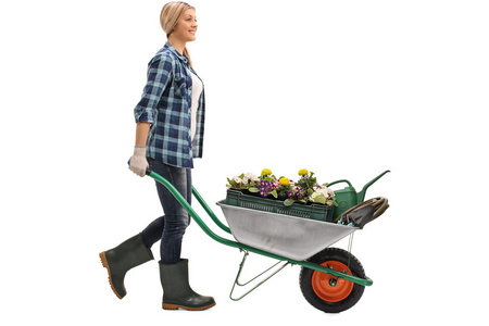 推农业图片-推农业素材-推农业插画-摄图新视界