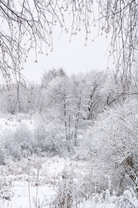 白雪皑皑的冬季风景图片