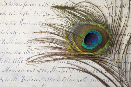孔雀羽毛和古董的脚本写作摘要图片