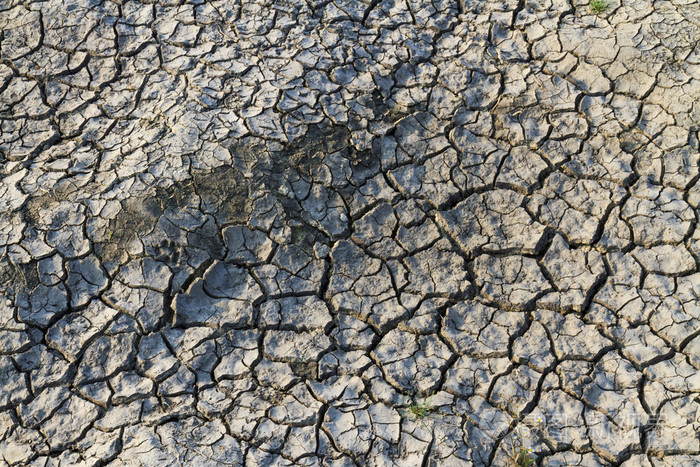 裂开的地球和成千上万的裂缝