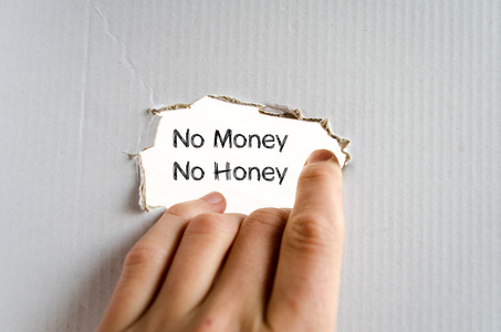 没有钱没有蜂蜜文本概念图片