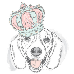 马戏团的公主图片