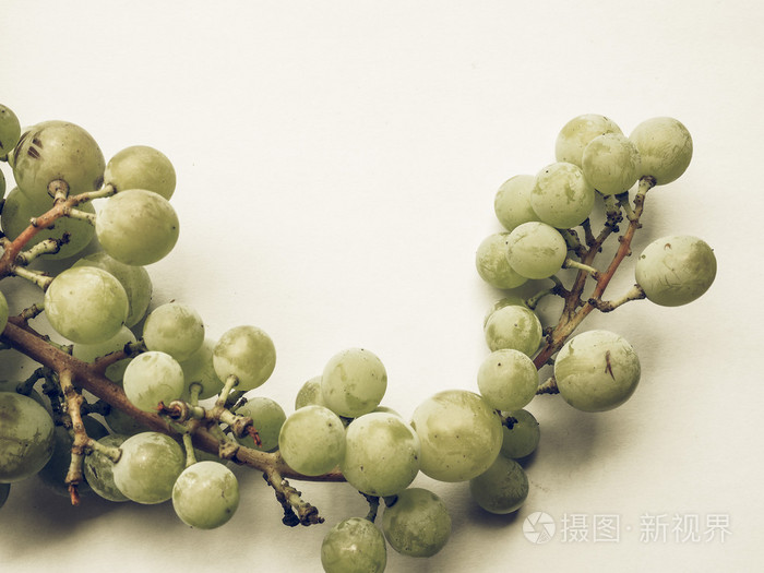 白葡萄果实复古褪色
