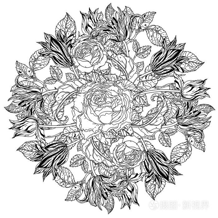 黑色和白色.蔷薇花插画-正版商用图片1oz8bz-摄图新视界