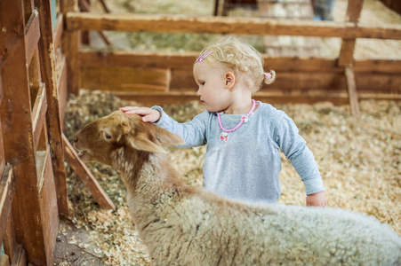 放逸小女孩抚摸一只小羊羔照片