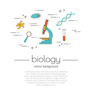 灯泡与线条学校学科生物学的平线图标集 科学与教育照片