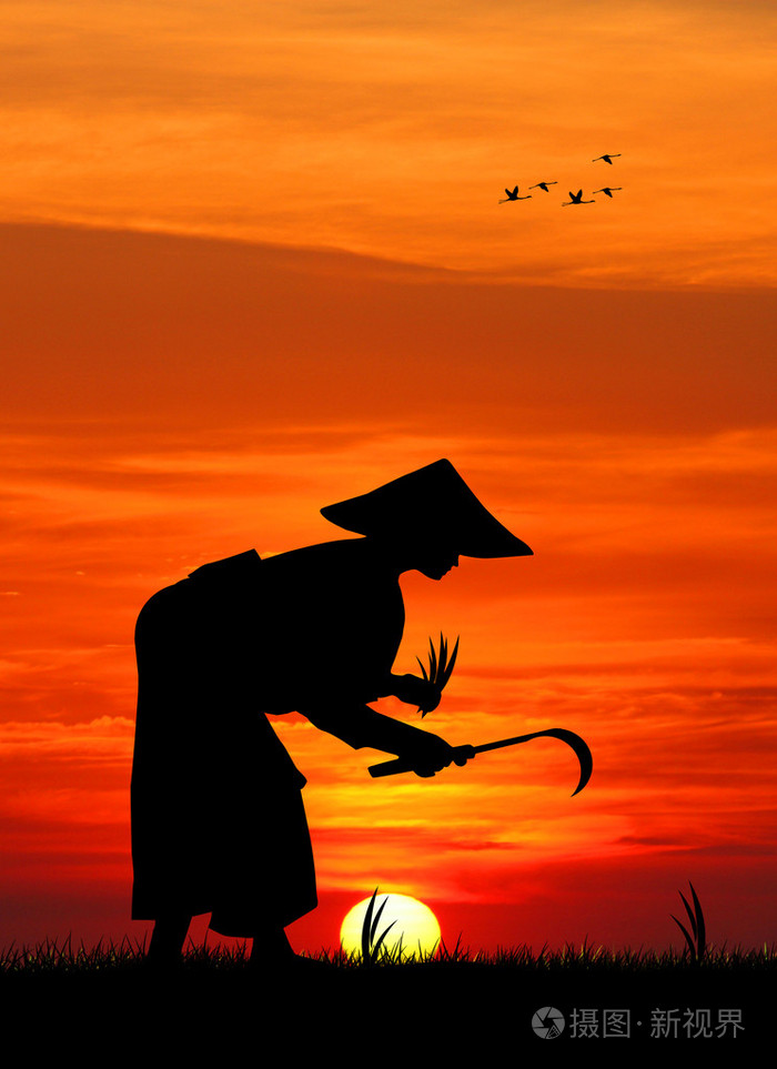 亚洲农民在日落时的剪影照片-正版商用图片1ozzri-摄图新视界