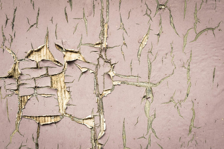 老涂的木板的苍白色照片