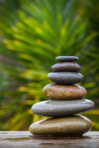 堆栈的圆圆滑的湿的鹅卵石平衡在丝兰照片