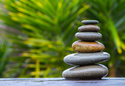 堆栈的鹅卵石堆栈的圆圆滑的湿的鹅卵石平衡在丝兰照片