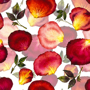 水彩玫瑰图案的花瓣和叶子图片