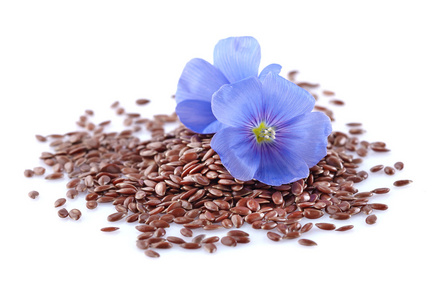 亚麻籽花图片-亚麻籽花素材-亚麻籽花插画-摄图新视界