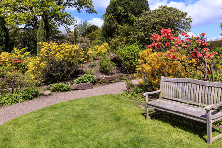 在春天的时候,英国花园里的场景照片