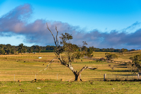农村澳大利亚风景图片
