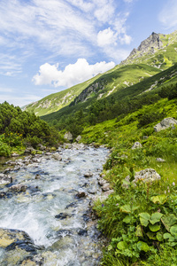 在上塔特拉山的山间溪流图片