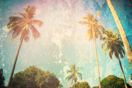 热带背景棕榈假日旅游设计图片