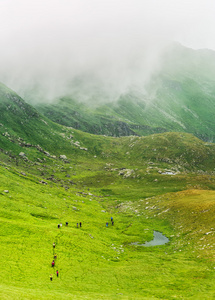 组的徒步旅行者穿过山雾谷图片