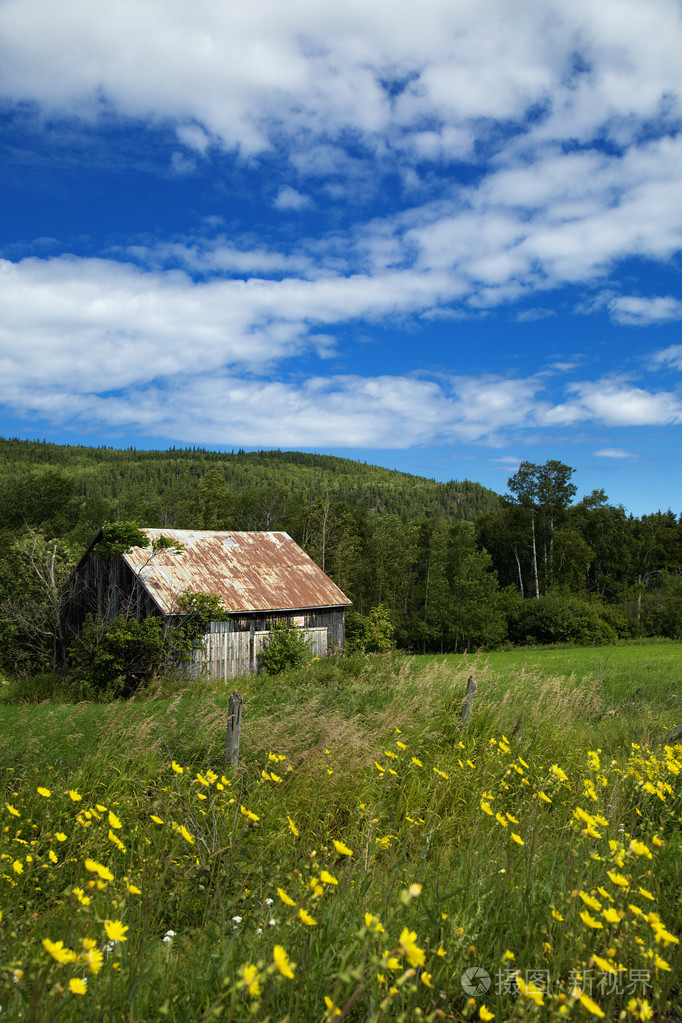 在一块草地上的小房子里