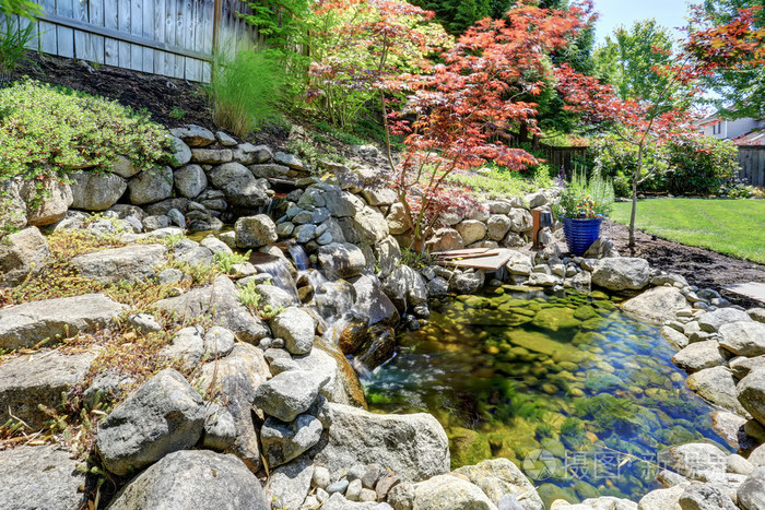 后院美丽的景观设计小池塘的景色