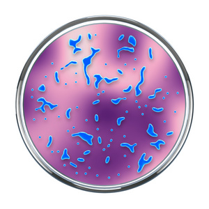 细菌培养皿图片