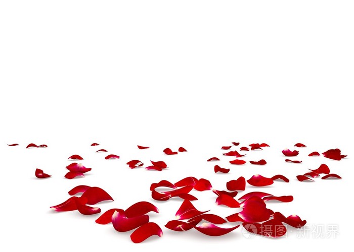 红色的玫瑰花瓣散落在地板上