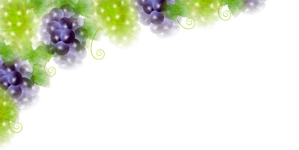 葡萄果实秋天背景