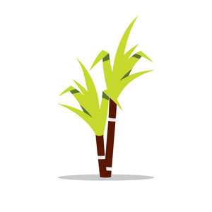 矢量甘蔗卡通插画照片