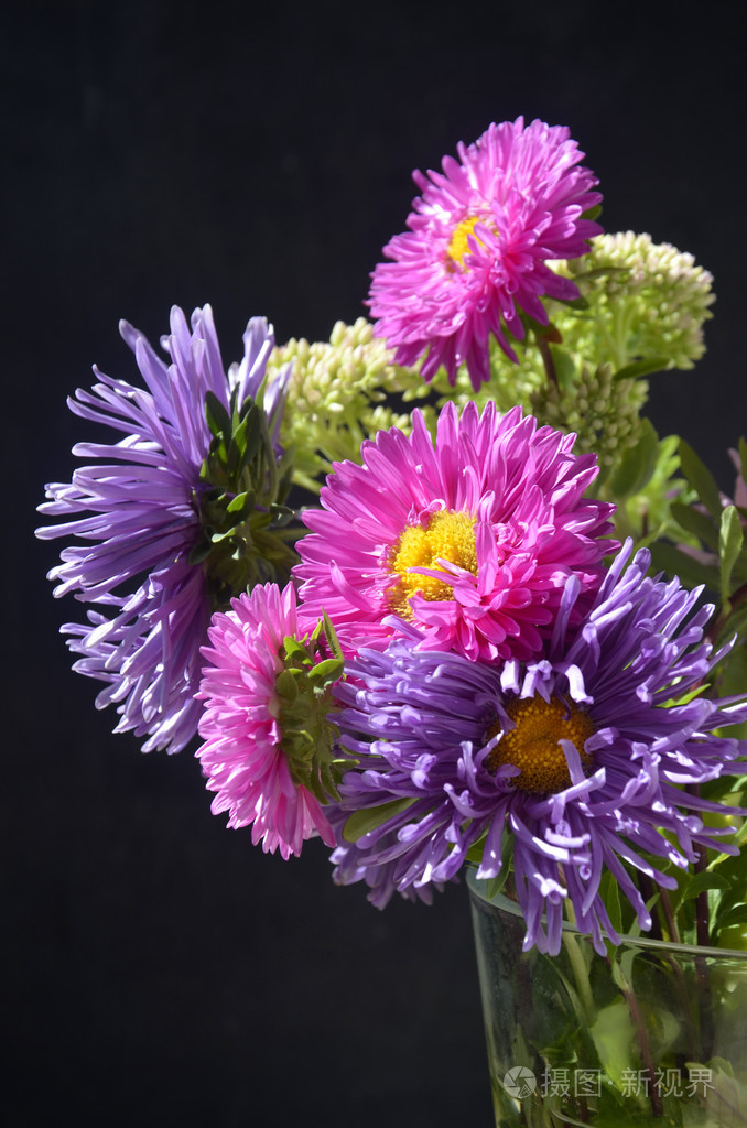 在木桌上美丽翠菊鲜花花束
