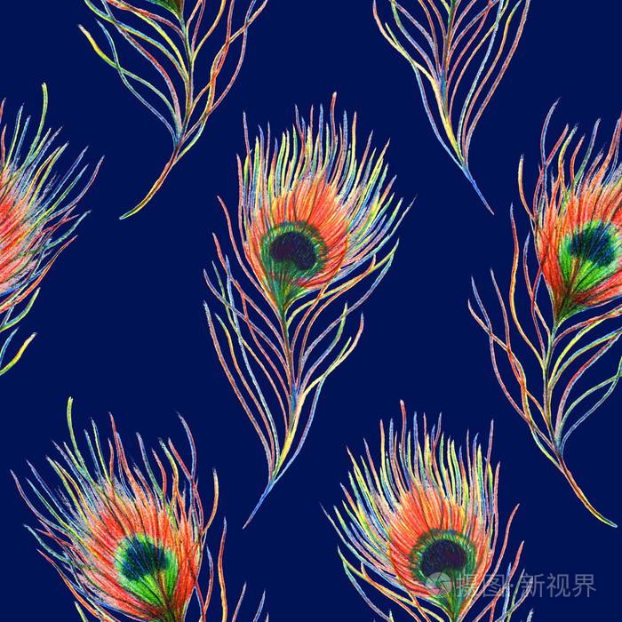 彩虹孔雀开屏鸟羽毛无缝图案背景纹理