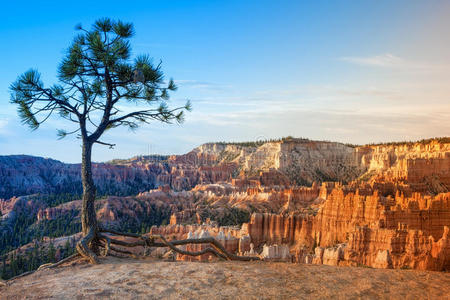 自然 地标 全景图 纪念碑 形成 美国 砂岩 风景 布莱斯