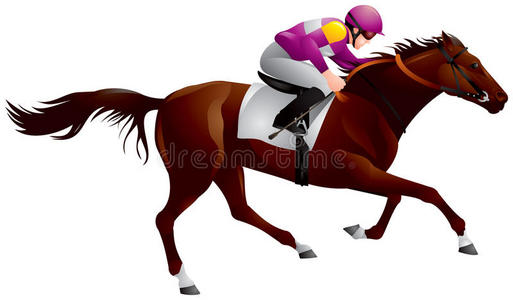 德比,马术运动马和骑手6照片