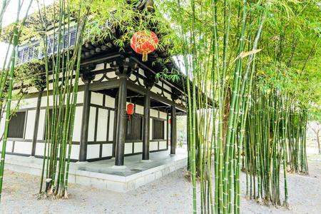 景观 文化 颜色 艺术 亚洲 国家 外部 瓷器 房子 花园