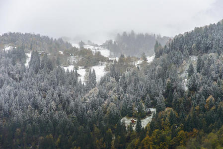 冬天 马车 少女 季节 全景 摄影 欧洲 假期 雪景 自然