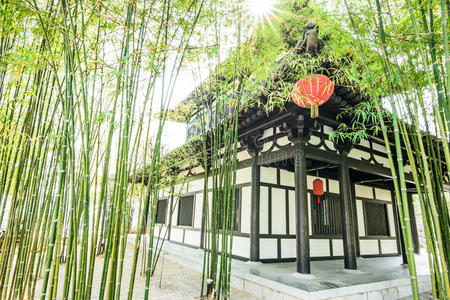 北京 秋天 文化 颜色 花园 建筑 景观 竹子 建筑学 艺术