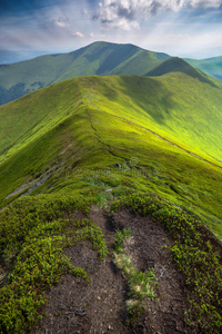 自然 徒步旅行 森林 农场 土地 天空 喀尔巴阡山 美丽的