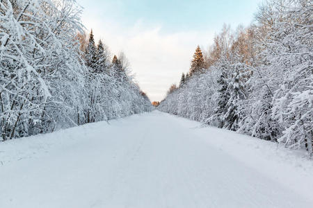 冻结 松木 房子 风景 自然 领域 太阳 暴风雪 公路 季节