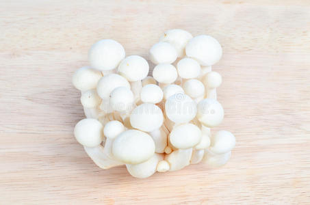 一堆白色的蘑菇