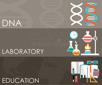 信息图表 实验室 生物技术 医学 原子 化学 生物学 科学