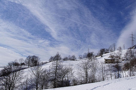 冷杉 欧洲 风景 冰冷的 小屋 白霜 山坡 乡村 冷冰冰的