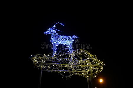 鹿圣诞灯