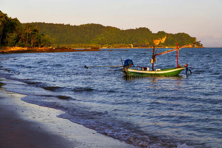 地衣 泻湖 放松 海滩 小岛 海洋 缅甸 风景 脚步 自由