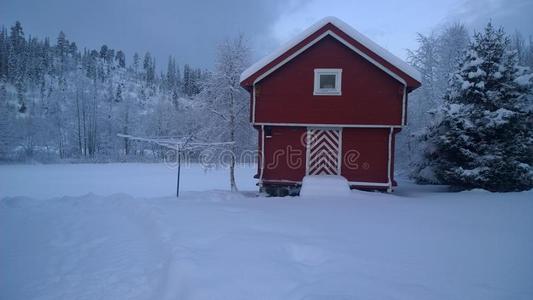 建筑 滑雪 情绪 很完美 挪威 冬天 特隆赫姆 农场 仙境
