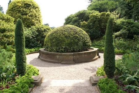 茶道 砾石 建筑学 植物 花园 艺术 公园 英国 紫杉 园艺