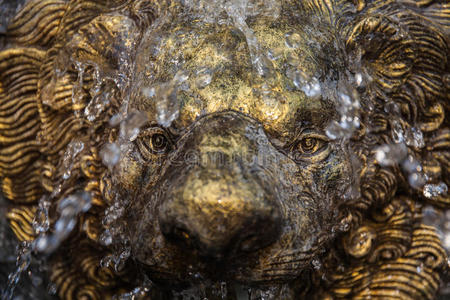 金属 古老的 欧洲 古董 救济 喷泉 国王 艺术 城市 野兽