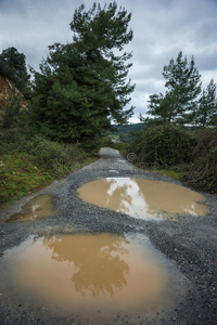 国家 弹簧 自然 道路 泥泞 水坑 场景 春天 吸引力 季节