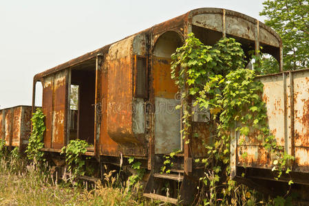 沙漠 金属 剥皮 废墟 腐烂 蒸汽 衰退 咕哝 机车 被遗弃的