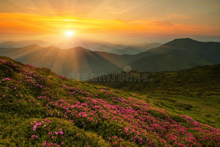 自然 旅行 风景 天空 夏天 美女 美好的 欧洲 喀尔巴阡山